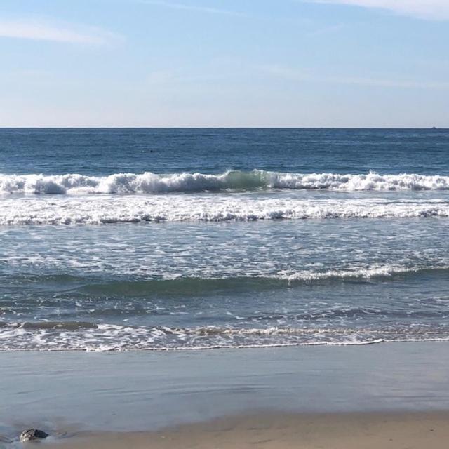 Beachfront Condo W Pools Steps To Beach & Mins To Dt 로사리토 외부 사진